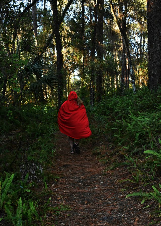 Little Ride Hooding Red